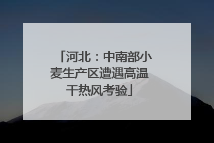 河北：中南部小麦生产区遭遇高温干热风考验