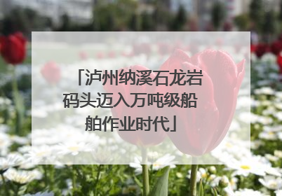 泸州纳溪石龙岩码头迈入万吨级船舶作业时代