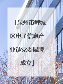 泉州市鲤城区电子信息产业链党委揭牌成立