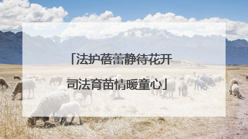 法护蓓蕾静待花开 司法育苗情暖童心
