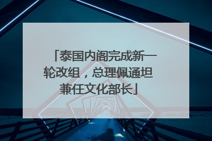 泰国内阁完成新一轮改组，总理佩通坦兼任文化部长