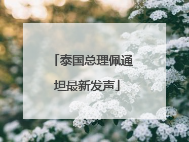 泰国总理佩通坦最新发声