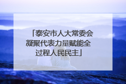 泰安市人大常委会凝聚代表力量赋能全过程人民民主