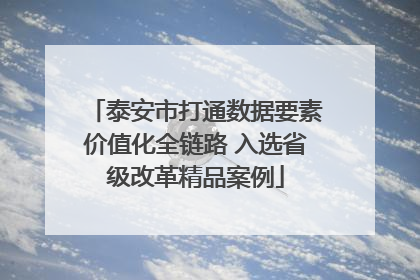 泰安市打通数据要素价值化全链路 入选省级改革精品案例