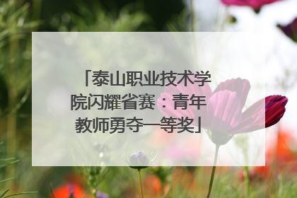 泰山职业技术学院闪耀省赛：青年教师勇夺一等奖