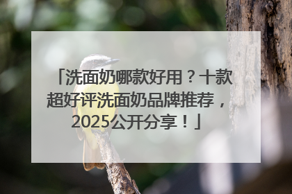 洗面奶哪款好用？十款超好评洗面奶品牌推荐，2025公开分享！