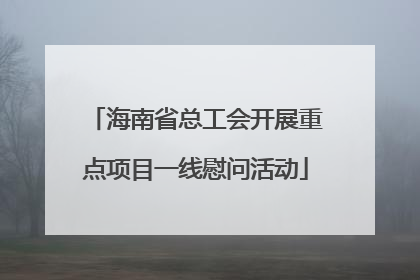 海南省总工会开展重点项目一线慰问活动