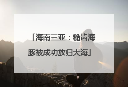 海南三亚：糙齿海豚被成功放归大海
