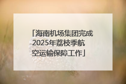 海南机场集团完成2025年荔枝季航空运输保障工作