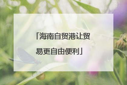 海南自贸港让贸易更自由便利