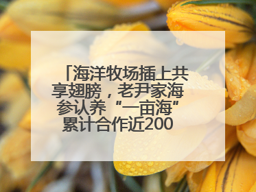 海洋牧场插上共享翅膀，老尹家海参认养“一亩海”累计合作近200企业客户