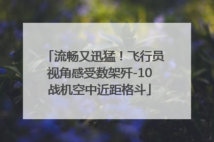 流畅又迅猛！飞行员视角感受数架歼-10战机空中近距格斗