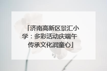 济南高新区景汇小学：多彩活动庆端午 传承文化润童心