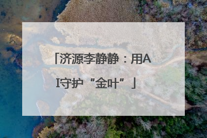 济源李静静：用AI守护“金叶”