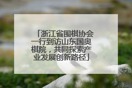 浙江省围棋协会一行到访山东国奥棋院，共同探索产业发展创新路径