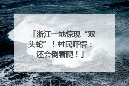 浙江一地惊现“双头蛇”！村民吓懵：还会倒着爬！