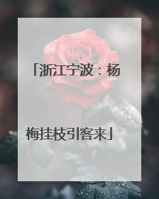 浙江宁波：杨梅挂枝引客来