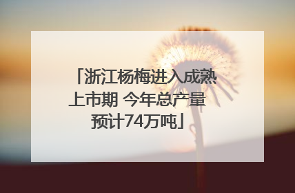 浙江杨梅进入成熟上市期 今年总产量预计74万吨