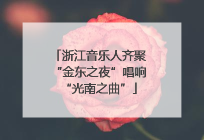 浙江音乐人齐聚“金东之夜”唱响“光南之曲”