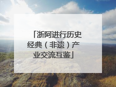 浙阿进行历史经典（非遗）产业交流互鉴