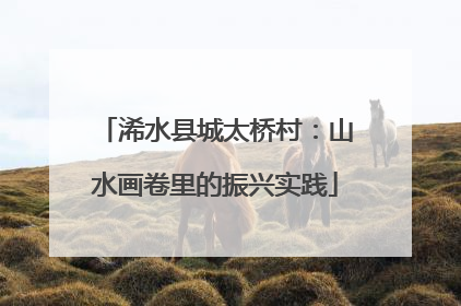 浠水县城太桥村：山水画卷里的振兴实践