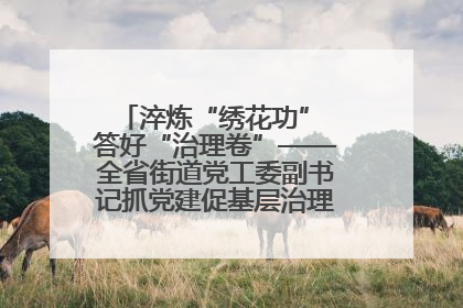 淬炼“绣花功” 答好“治理卷”——全省街道党工委副书记抓党建促基层治理培训示范班侧记