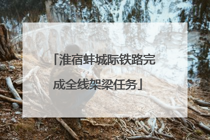淮宿蚌城际铁路完成全线架梁任务