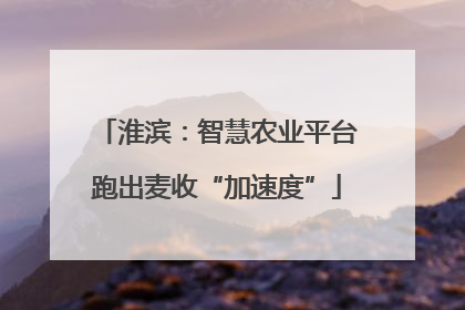 淮滨：智慧农业平台跑出麦收“加速度”