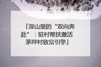深山里的“双向奔赴”：驻村帮扶激活茅坪村致富引擎