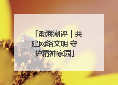 渤海潮评｜共建网络文明 守护精神家园