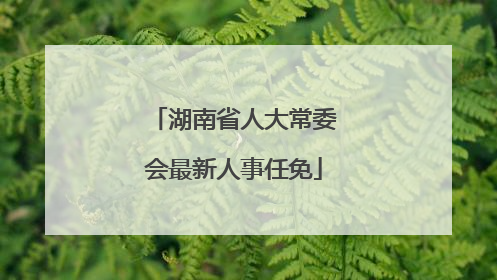 湖南省人大常委会最新人事任免