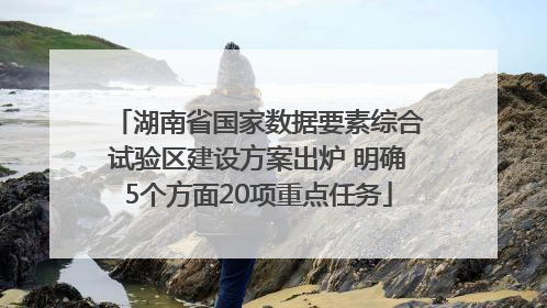 湖南省国家数据要素综合试验区建设方案出炉 明确5个方面20项重点任务
