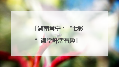 湖南常宁：“七彩”课堂鲜活有趣