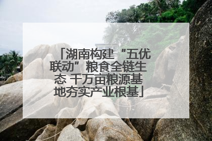 湖南构建“五优联动”粮食全链生态 千万亩粮源基地夯实产业根基