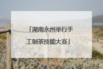 湖南永州举行手工制茶技能大赛