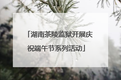 湖南茶陵监狱开展庆祝端午节系列活动