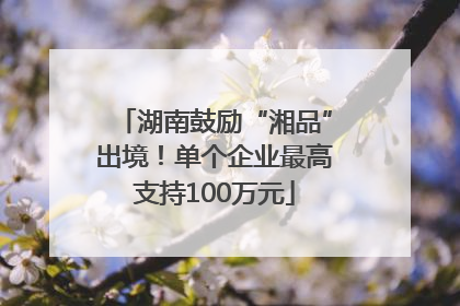 湖南鼓励“湘品”出境！单个企业最高支持100万元