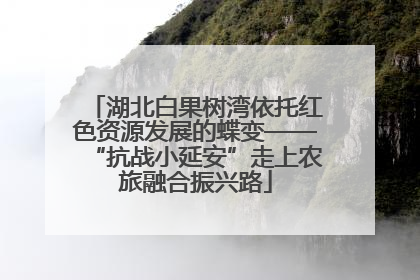 湖北白果树湾依托红色资源发展的蝶变——“抗战小延安”走上农旅融合振兴路