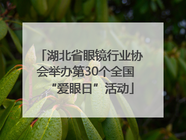 湖北省眼镜行业协会举办第30个全国“爱眼日”活动