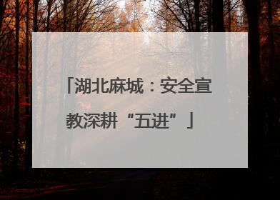 湖北麻城：安全宣教深耕“五进”