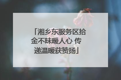湘乡东服务区拾金不昧暖人心 传递温暖获赞扬