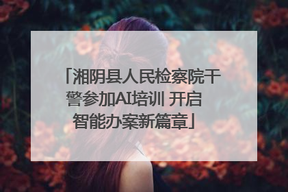 湘阴县人民检察院干警参加AI培训 开启智能办案新篇章