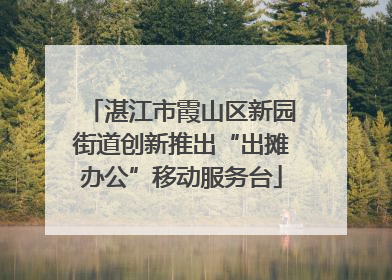 湛江市霞山区新园街道创新推出“出摊办公”移动服务台