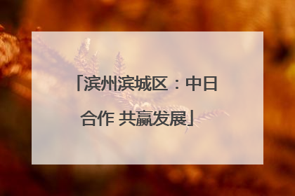 滨州滨城区：中日合作 共赢发展