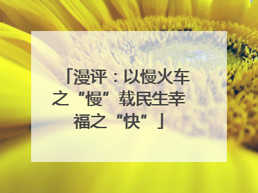 漫评：以慢火车之“慢”载民生幸福之“快”