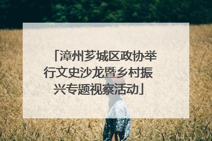 漳州芗城区政协举行文史沙龙暨乡村振兴专题视察活动