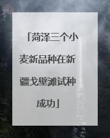 菏泽三个小麦新品种在新疆戈壁滩试种成功