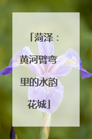菏泽：黄河臂弯里的水韵花城