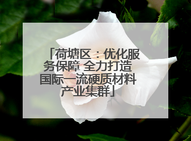 荷塘区：优化服务保障 全力打造国际一流硬质材料产业集群