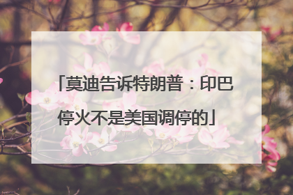 莫迪告诉特朗普：印巴停火不是美国调停的